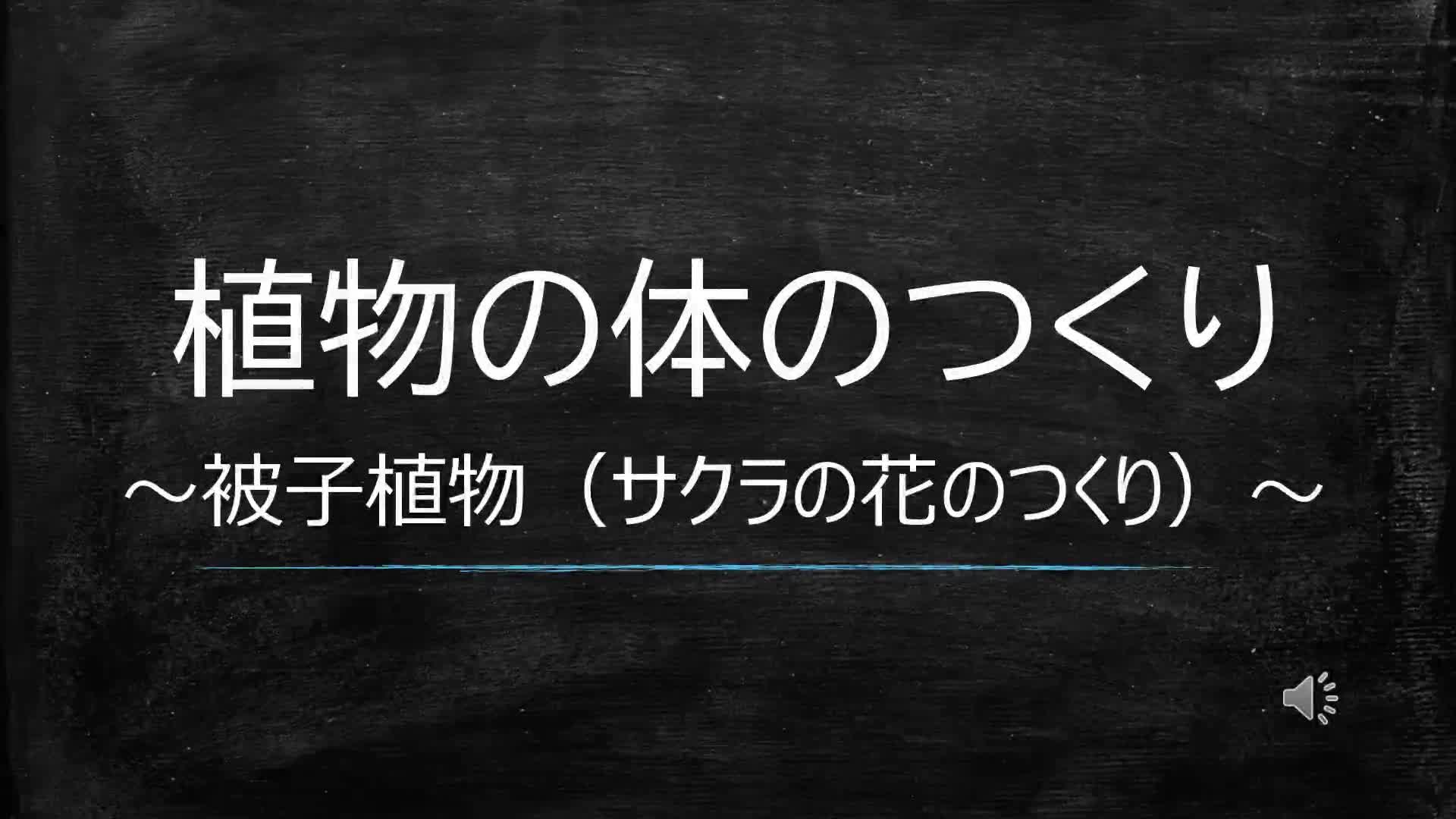 植物の体のつくり①
