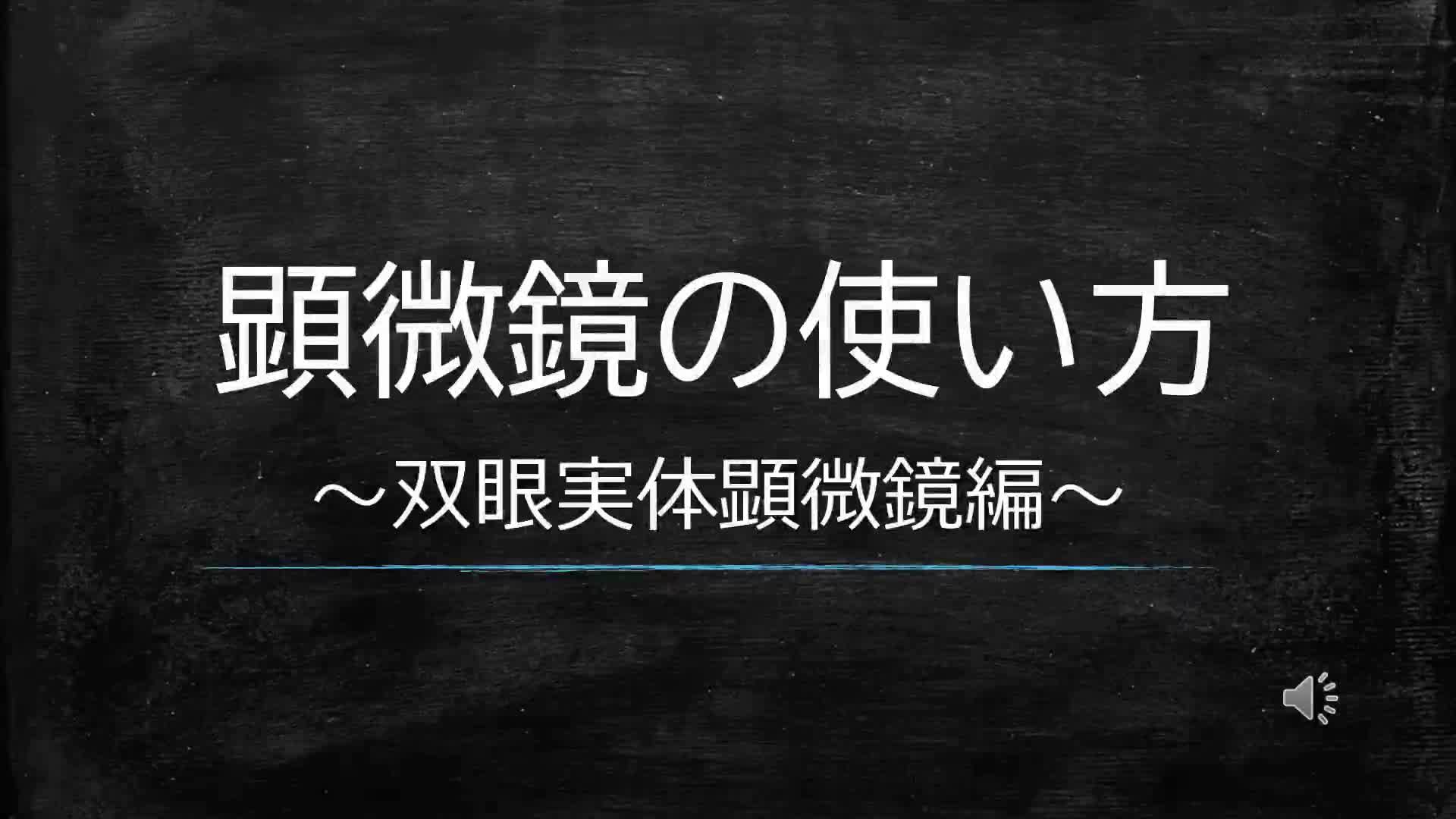 双眼実体顕微鏡