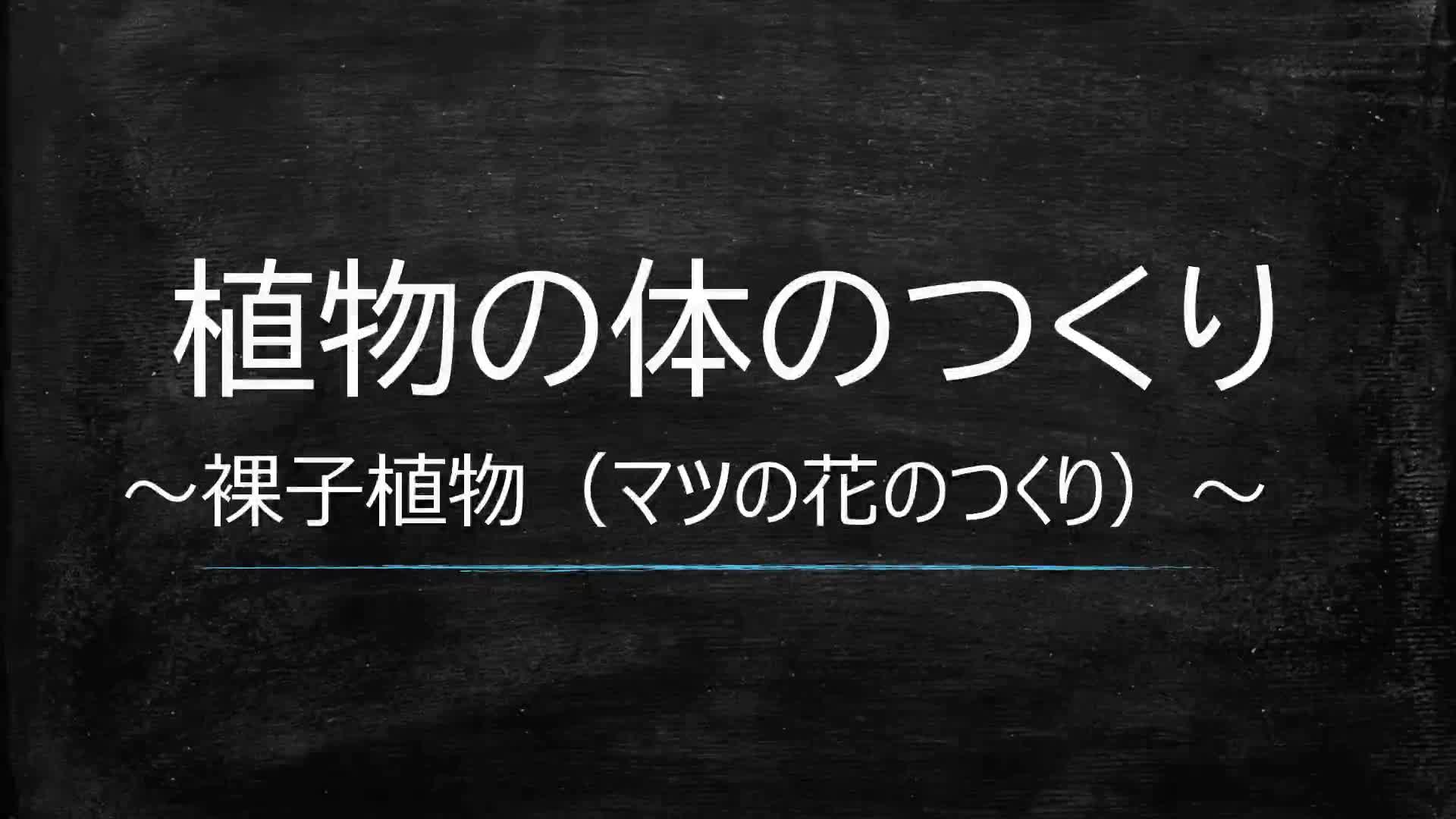 植物の体のつくり②