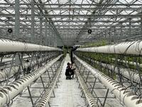 阿蘇健康農園_01