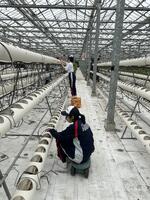 阿蘇健康農園_02