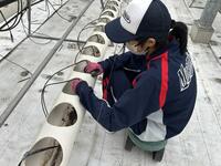 阿蘇健康農園_03