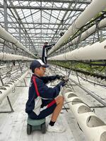 阿蘇健康農園_04