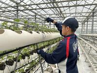 阿蘇健康農園_05