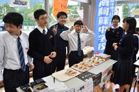 フレンチブルドッグ