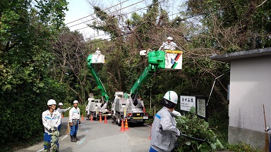 伐採の様子 伐採の様子