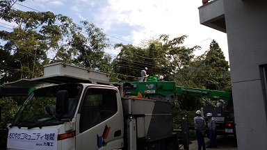 電線にかかる木や竹を伐採