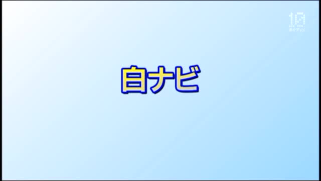 数学白ナビ