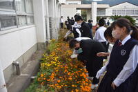 花いっぱい作戦１