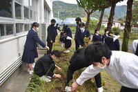 花いっぱい作戦２