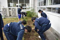 花いっぱい作戦３