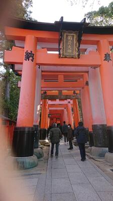 伏見稲荷大社３
