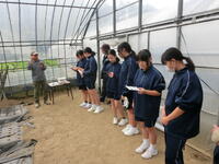 まき方について