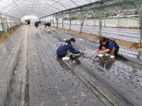 黙々とあと少し