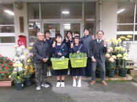 収穫後のほうれん草とルッコラ