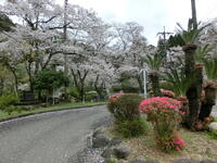 校舎から橋に向けて